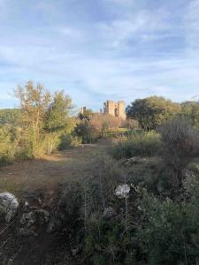 Le gîte de la Sauvagine