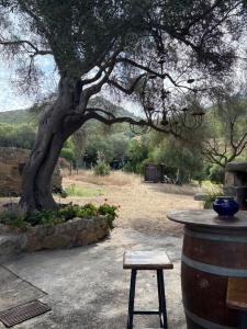 Villas Bergerie de Charme Pedi Lione : photos des chambres