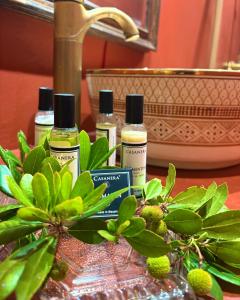 Villas Bergerie de Charme Pedi Lione : Villa 2 Chambres