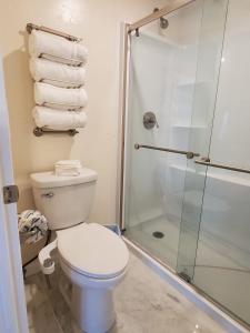 Oceanfront studio see whales and dolphins