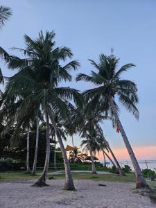 Aloha Pacifico Beach House