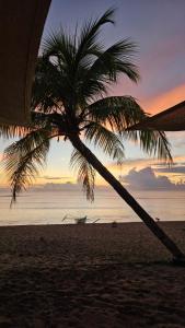 Aloha Pacifico Beach House