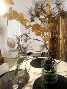 T1 cœur de Toulon idéal entre le port et la gare