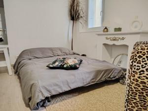 Appartements T1 coeur de Toulon ideal entre le port et la gare : photos des chambres