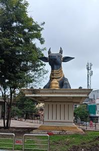 Shri Narayan Home Stay