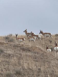 20 min from Butte, minutes from The Big Hole River