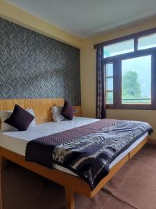 Tonys Backpacker Hostel