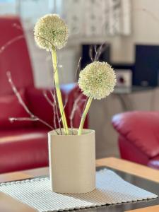 Landhaus Voss Wohnung 5