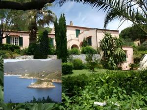 Ester Home Procchio Mare E Sole