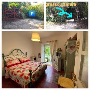 LANGOLINO, Casale vita nova