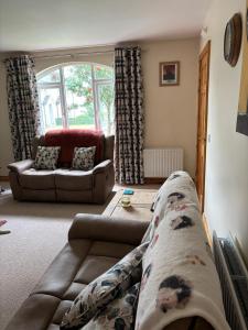 Rowan Tree Cottage, Ballycastle