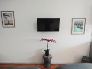 Appartements Appartement jardin Parking zen : photos des chambres