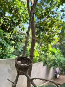 Ravi Villa Kandy