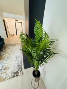 White Titanic -Luxury Turism