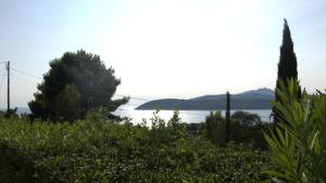 Appartamenti Barabarca con vista sul Golfo - Goelba