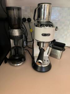 Sandy Paws and Salty Air