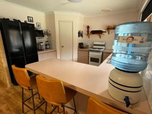 Sandy Paws and Salty Air