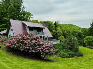 Modern Mountain Escape
