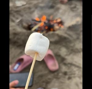 Alojate en Mala playa y campo