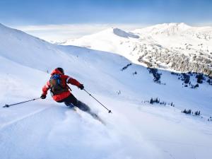 Appartements Appartement 2P cosy avec spa aux Saisies, pres des pistes - FR-1-810-5 : photos des chambres