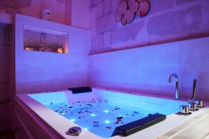 Appartements La Plume d-Amour- Love Room au Coeur du Vieux Tours : Appartement 1 Chambre