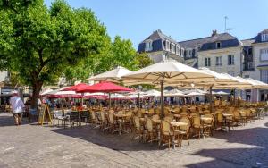 Appartements La Plume d-Amour- Love Room au Coeur du Vieux Tours : photos des chambres