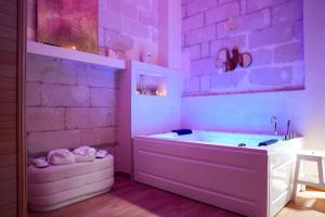 Appartements La Plume d-Amour- Love Room au Coeur du Vieux Tours : photos des chambres