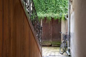 Appartements La Plume d-Amour- Love Room au Coeur du Vieux Tours : photos des chambres