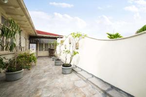 Terra Nova, BW Premier Collection