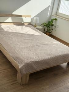 Apartamenty Ryterskie