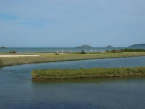 Maisons de vacances Le paradis sur mer : photos des chambres