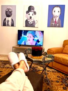 LUXURY APARTMENT between ANTIBS and CROISETTE