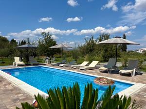 Wooden House - Imanje Terzic