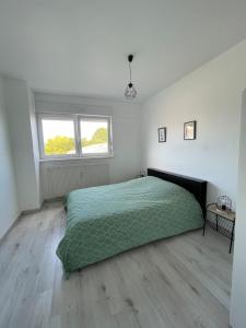 Appartements Chez Megane & Anthony a Strasbourg : photos des chambres
