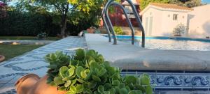 Chalet casa la adelfa