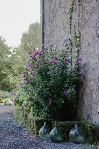 Maisons d'hotes Chateau d'Estrac : photos des chambres