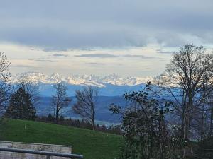 Bergwirtschaft Tiefmatt