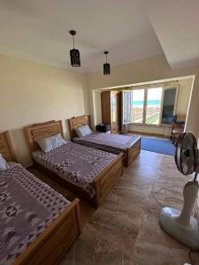 The comfort zone first line A3