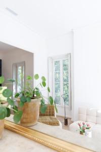 Appartements Haussmannien des Jardins de la Fontaine : photos des chambres