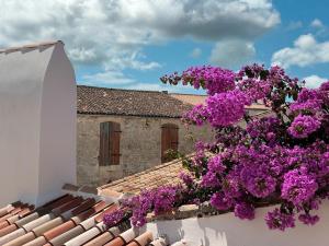 Villas Maison - Vue mer - Clim et Piscine - 6 ch - 4 sdb - Sauna - St Martin de Re : photos des chambres