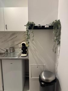 Appartements Le Beau Coin de Paris : photos des chambres