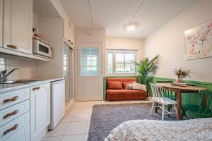 Levistar Arctic blueberry