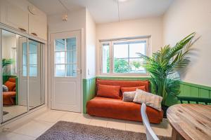 Levistar Arctic blueberry