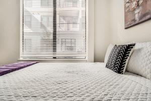 Boulevard Stays Walk to Downtown STU SoCo Pool Parking Gym 10