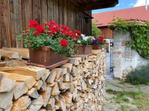 Ferienwohnung nähe Attersee - Traunsee LEHNER IM WALD charmantes Bauernhaus in Alleinlage
