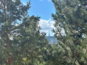 Moderný apartmán v Ružinove