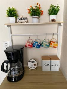 Casa Oasis Veracruzano