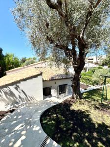 Villas Cannes Villa luxe, detente et bien-etre : photos des chambres
