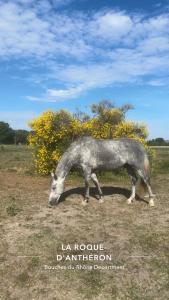 La Bastide des Launes près du Festival de Piano