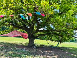 Farm stay belltent activities